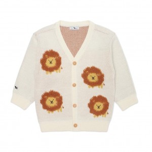 이미지 상세보기